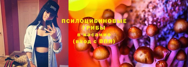 твердый Алексин