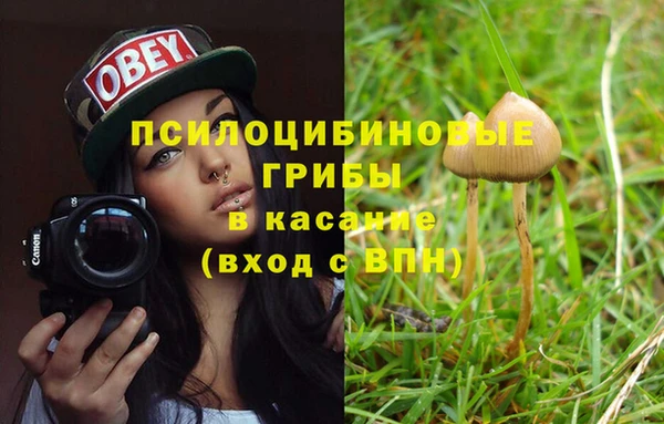 ешки Алексеевка